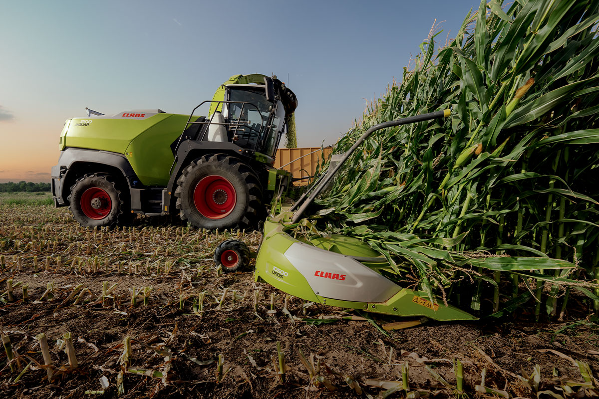 Nouveauté CLAAS : découvrez la nouvelle série d’ensileuses JAGUAR 1000